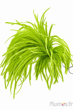 Federbusch Strauß mit Bügel - Höhe 18-20 cm - limettengrün